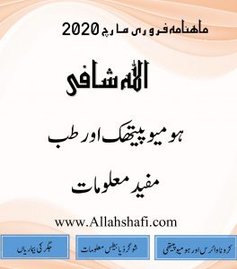 اللہ شافی ہومیو میگزین فروری 20201